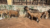 IMG_5472