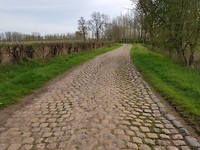 Veel kasseistroken vandaag