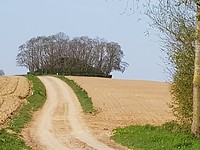 Romeinse begraafplaats