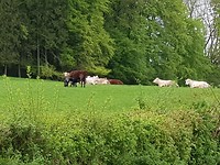 T blijft mooi