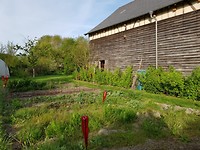 Nest potjes?