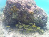 1IMG00013