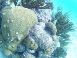 1IMG00225