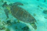 1IMG00272