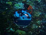 1P3010135