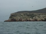 P1110064