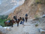 IMG_2485