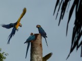 P1120347