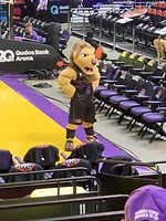 The lion
