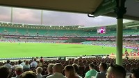 Cricket!!