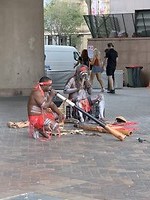 Didgeridoo