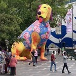 4516785-s.jpg?1581137049