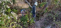 IMG_20190726_161502