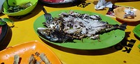 IMG_20190728_200315