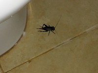20190727_184313