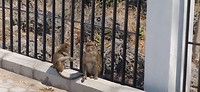 IMG_20190729_122849
