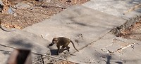 IMG_20190729_122814