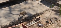 IMG_20190729_122757