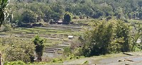 IMG_20190802_103802