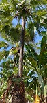 IMG_20190806_095058