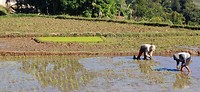 IMG_20190807_084814