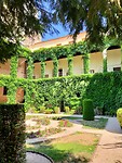 IMG20220706120911