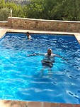 IMG-20221011-WA0006