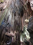 IMG-20221014-WA0020