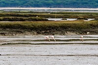 IMG-20221016-WA0009