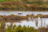 IMG-20221016-WA0004