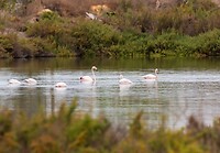 IMG-20221016-WA0000