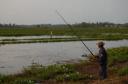 Vissen