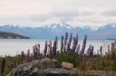 Uitzicht op Mount Cook