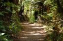 Route in Abel Tasman Park