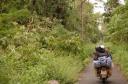 Jungle-rit in Vietnam