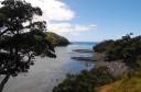 Goat island