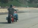 Born to Drive