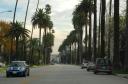 Driving through Beverly Hills