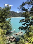 Abel Tasman