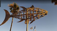 conil-de-la-frontera-1