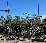 MARMENOR-4