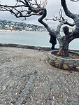 PENISCOLA-2