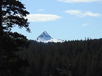 DSCN0383