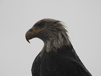 DSCN0364