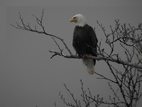 DSCN0472