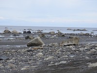 DSCN0949