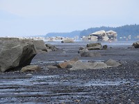DSCN0951