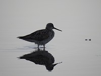 DSCN1362