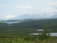 DSCN2166