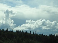 DSCN2526